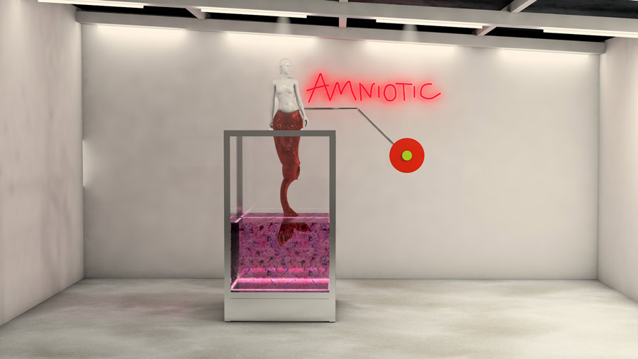 Copy-of-1.Galeria-Final_Amniotic