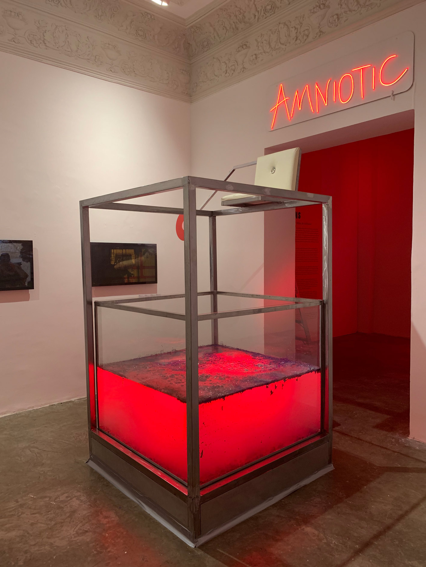 Copy-of-3.Galeria-Final_Amniotic